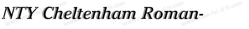 NTY Cheltenham Roman字体转换